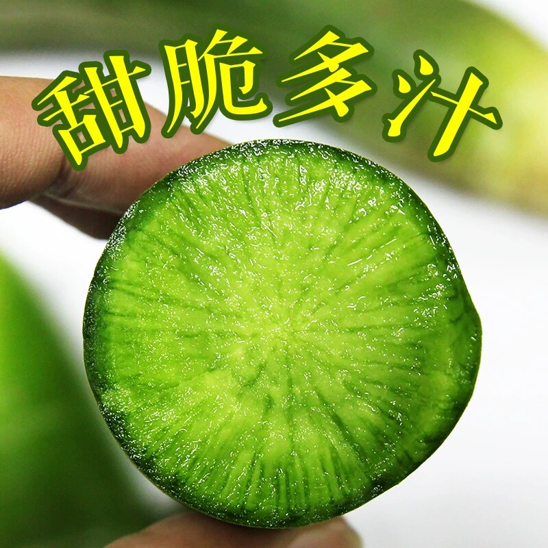 水果萝卜潍坊萝卜正宗潍县萝卜现萝卜/胡萝卜