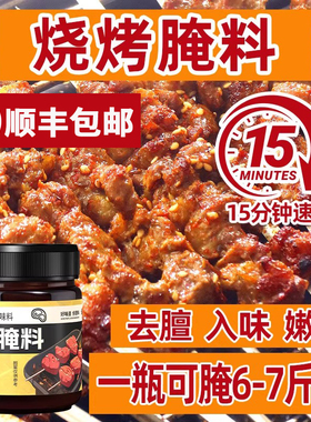 烧烤腌料蘸料牛羊肉串腌肉专用家用商用调味料烧烤调料烤肉腌制料
