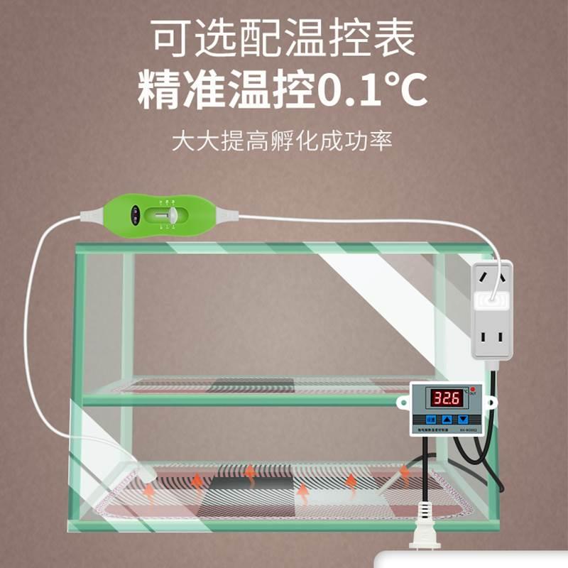 孵化器小型家用迷你水床孵化机全自动智能孵蛋器小鸡鸭鹅蛋孵化箱 五金/工具 电热工具 原图主图