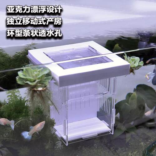 压克力漂浮孔雀鱼小型热带鱼隔离盒孵化器母鱼产房繁殖盒繁殖罐