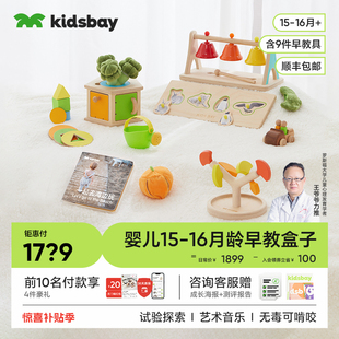 16月龄宝宝蒙氏早教盒子婴儿实木益智玩具教具见面礼物 kidsbay15