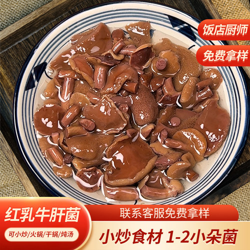 牛肝菌云南特产美味菌菇