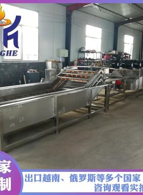 QGC型全自动果蔬新清洗机机 多功能清蔬菜清洗 酸菜酱菜脱盐洗机