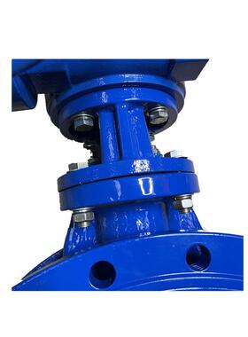 双偏心兰蝶阀 D342X6-1Q 球法墨铸铁软密封高性能涡547对轮夹式蝶