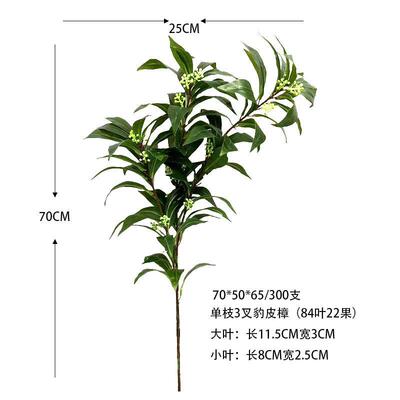 仿真植物001豹皮植樟树叶园林工程樟装饰造景香树厂绿家樟豹皮樟