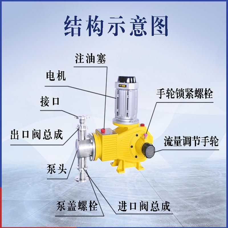 牌DZ-ZR柱塞式计量泵 AMPAC耐腐P蚀30钢4锈不石油化工定量泵