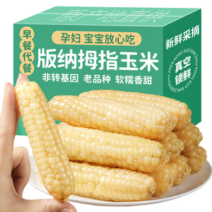 云南西双版纳拇指玉米即食早餐代餐新鲜傣家甜香糯迷你手指小玉米
