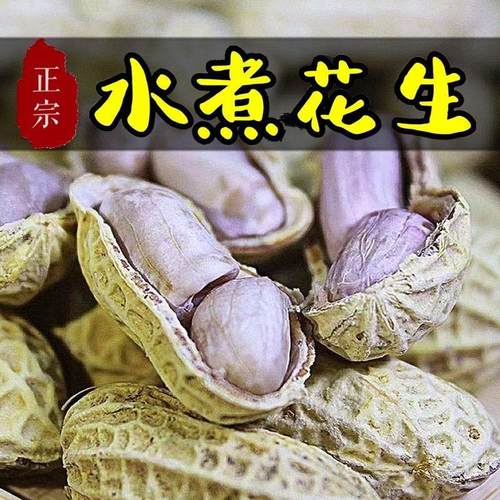 原味水煮白晒花生水煮晒干带壳白晒花生盐水咸干花生有嚼劲熟咸味
