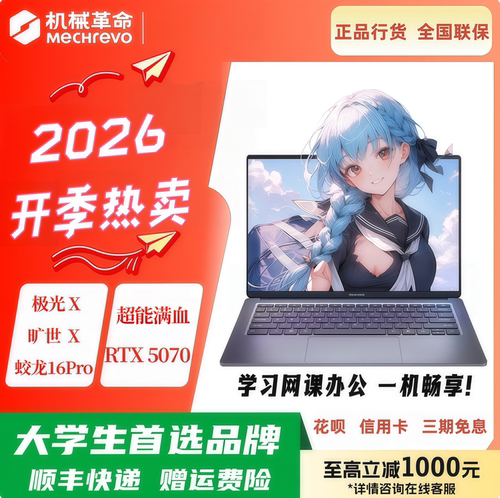 机械革命蛟龙16Pro极光X