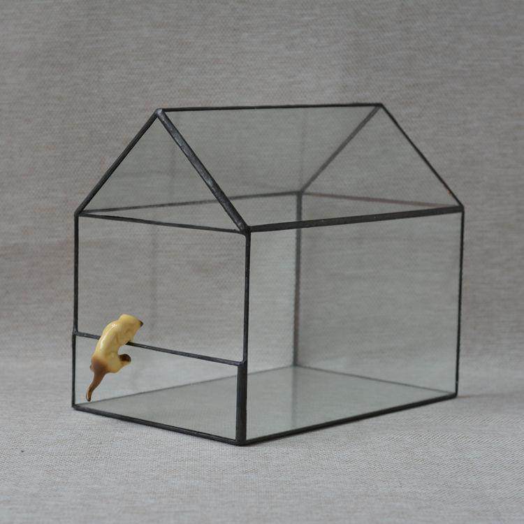 园艺 DIY微景观 多肉 花盆 玻璃养花器 盆景保暖 锡盆 花房