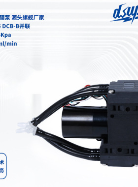 气体隔膜泵DSB05 DCB-B并联12V/24V气体采样泵微型隔膜真空泵批发