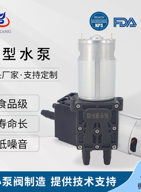 KYK43APW微型水泵12v厂家供应小型增压气动隔膜泵吸奶器水泵24v