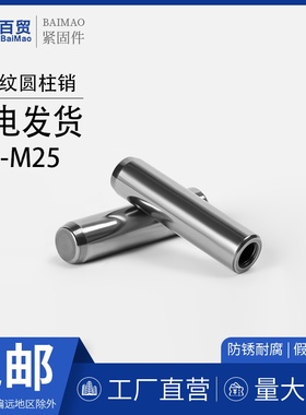 12.9级内螺纹圆柱销GB120定位销攻牙销钉ISO8735/40CrM4M5M6-M25