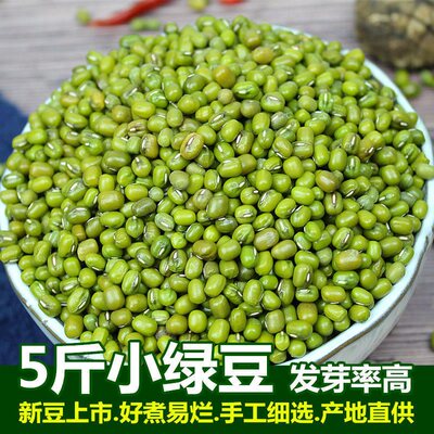 绿豆新货 农家自产小绿豆去皮脱皮绿豆糕饼绿豆汤材料新鲜豆芽