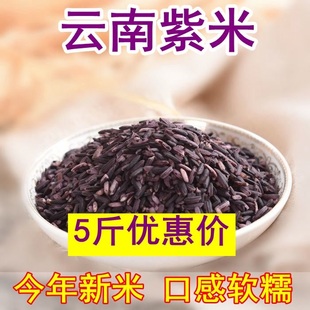 5斤云南墨江紫糯米紫米新米老品种黑糯米非黑米500g血糯米