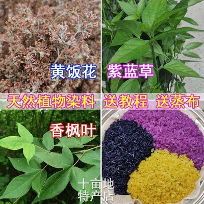 三色糯米饭植物染料广西五色饭材料香枫叶红蓝草紫蓝草五彩染色