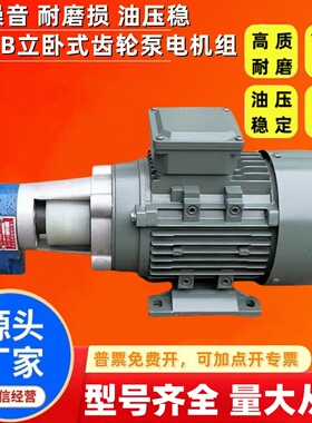 CB-B6/CB-B10/CB-B4/CB-B2.5JZ齿轮油泵电机润滑油泵0.37/0.55KW