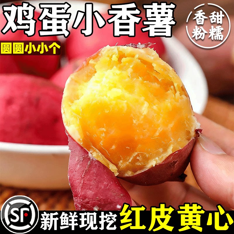 天目山小香薯【官方力荐】