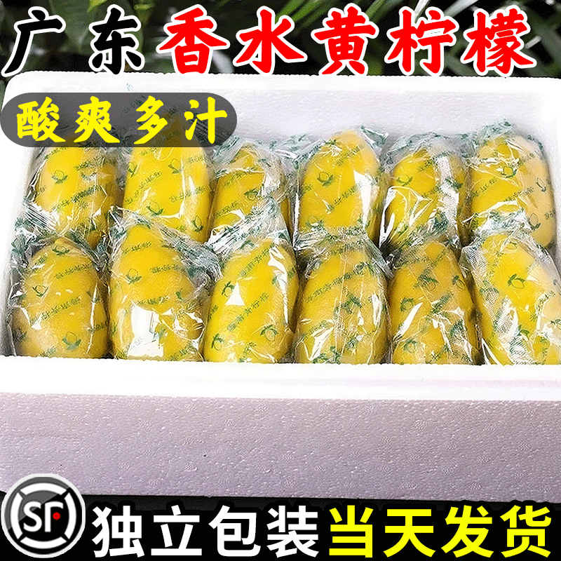 广东香水黄柠檬10斤新鲜水果柠檬精选皮薄柠檬奶茶店专用整箱批发