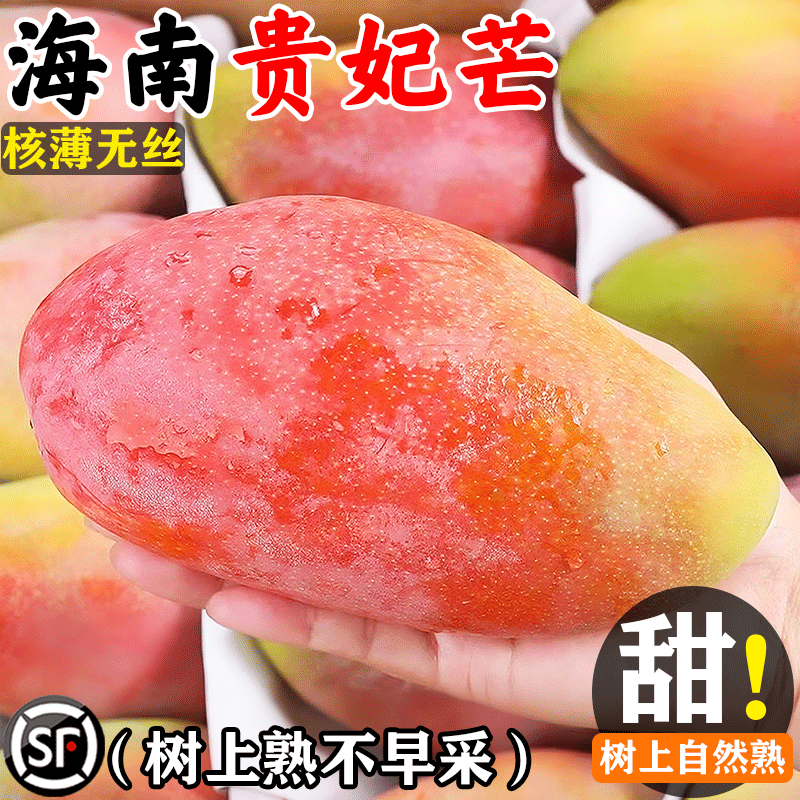 海南贵妃芒芒新鲜水果大果水果树上熟红金龙大果甜心辣椒芒果10斤