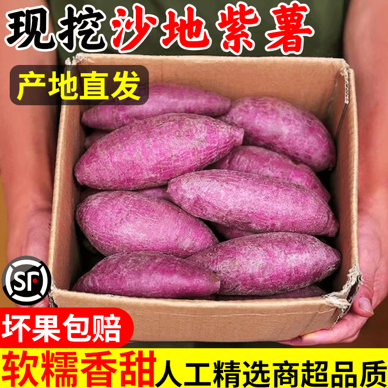 紫薯新鲜板栗红薯番薯地瓜蜜薯糖心10斤山芋烟薯香薯蔬菜农家自种