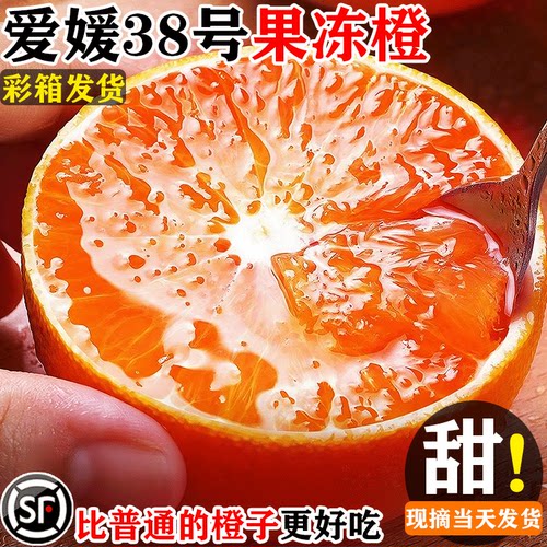 爱媛38号果冻橙新鲜橙子水果当季整箱10斤四川甜柑橘手剥大果包邮