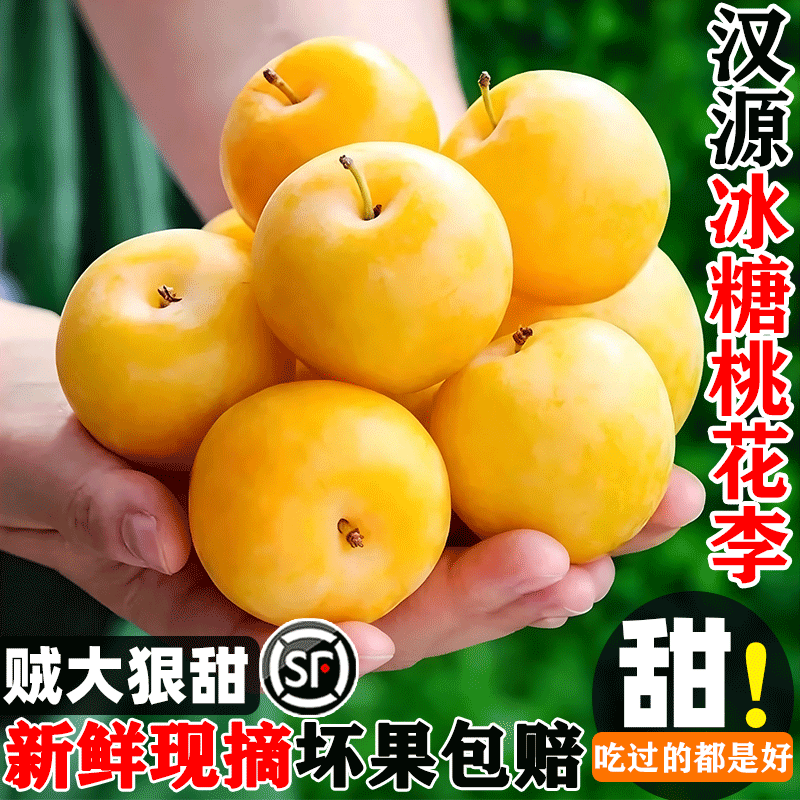 【纯甜无酸】冰糖桃花李当季爆款