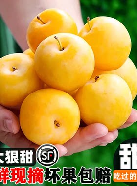 【纯甜无酸】冰糖桃花李当季爆款