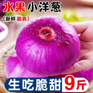 云南紫皮小洋葱新鲜9斤圆葱生吃洋葱蔬菜红皮农家元葱水果批发