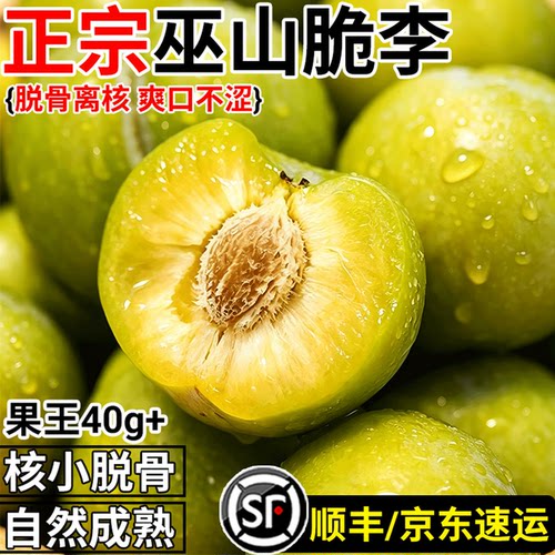 顺丰四川巫山脱骨李子脆李5斤新鲜水果礼盒脆甜蜂糖青脆冰糖李子