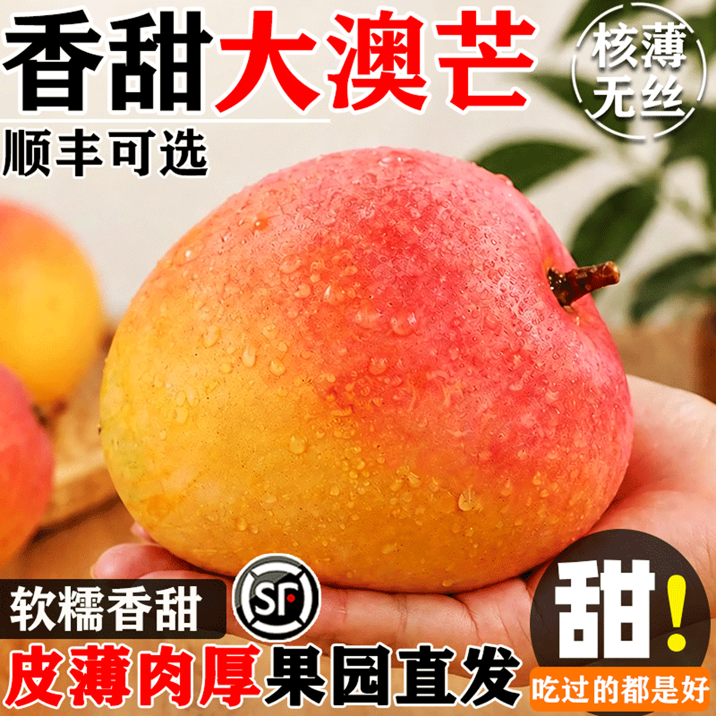 云南超大澳芒果个大肉厚核薄无丝