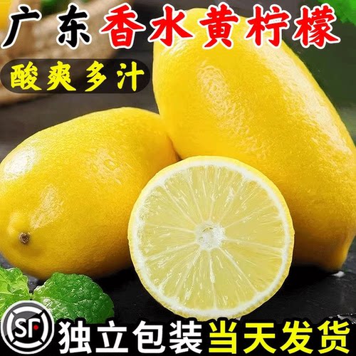 新鲜广东香水黄柠檬奶茶店专用