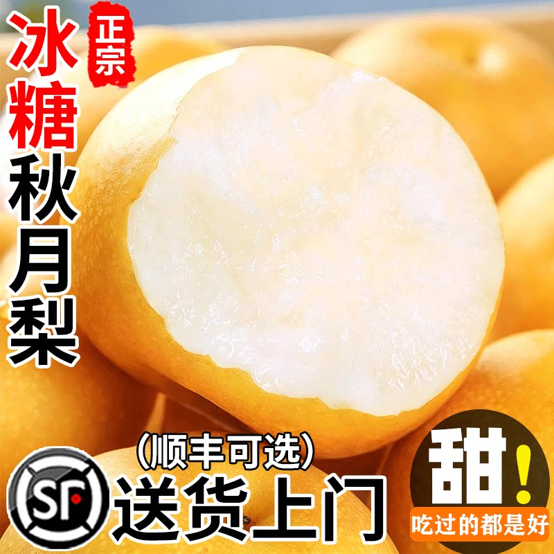 正宗山东秋月梨新鲜水果9斤当季现摘莱阳梨子大果冰糖梨整箱包邮