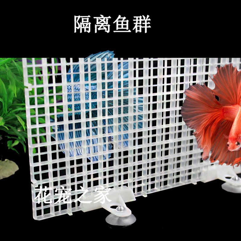 鱼缸玻璃隔断夹隔离板加厚吸盘卡子水族箱网格板固定夹阻拦板底滤图片