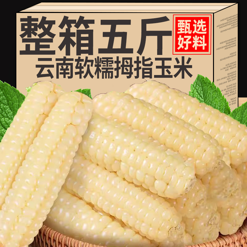 西双版纳拇指玉米云南特产迷你袖珍儿童玉米真空宝宝辅食新鲜真空