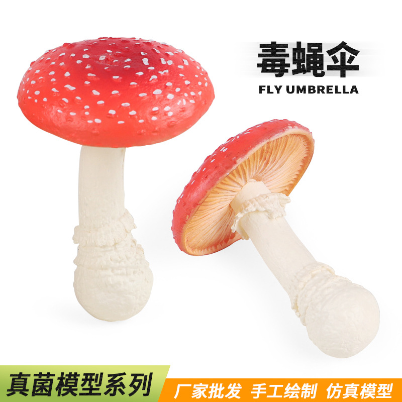 早教教具食品模型仿真假毒蝇伞