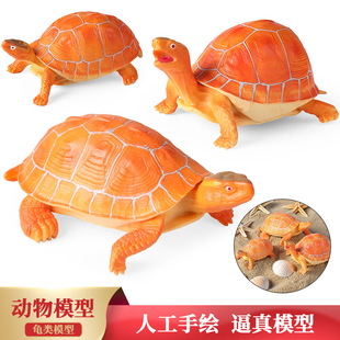 仿真乌龟动物模型野生鳄龟皖西黄缘白化龟海龟陆龟儿童玩具摆件