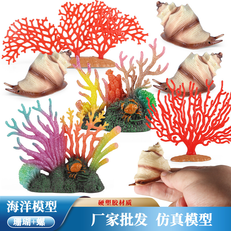 仿真海洋生物模型沙滩摆件海螺
