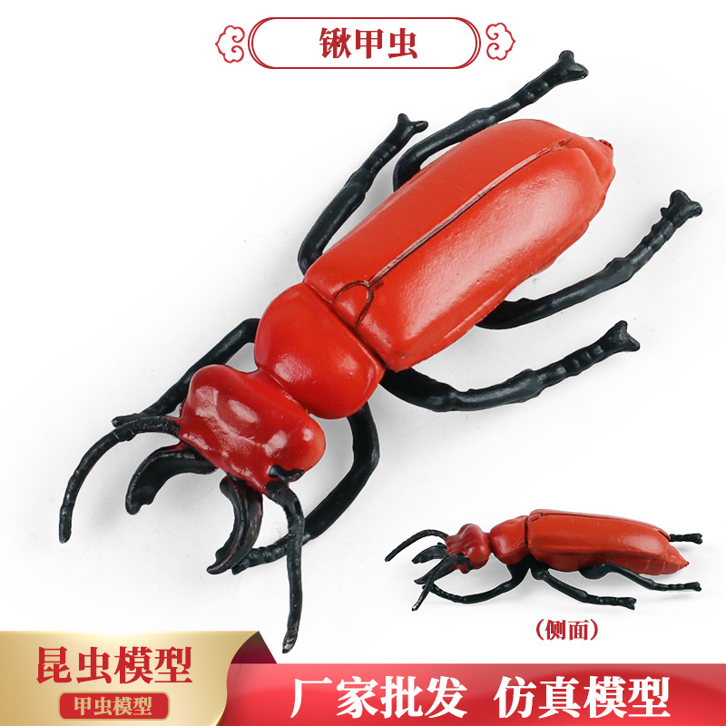 儿童认知仿真实心昆虫玩具锹甲虫