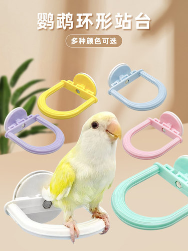 刺星球可爱鹦鹉防滑站杆防水站杆棍牡丹玄凤用品玩具鸟笼站台站架