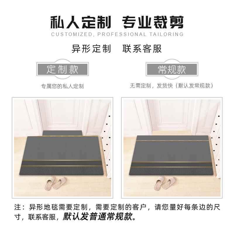 入户门地垫新中进式防滑门垫门家用客厅耐脏网红蹭土卧室定制脚垫