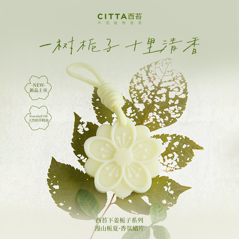 香薰蜡片山涧栀子花高级感女生衣柜卧室厕所除臭祛味