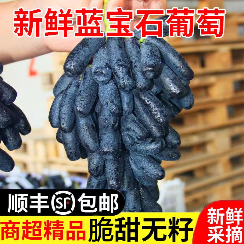 【顺丰速运】山西蓝宝石葡萄新鲜水果美人指金手指葡萄无籽黑提子
