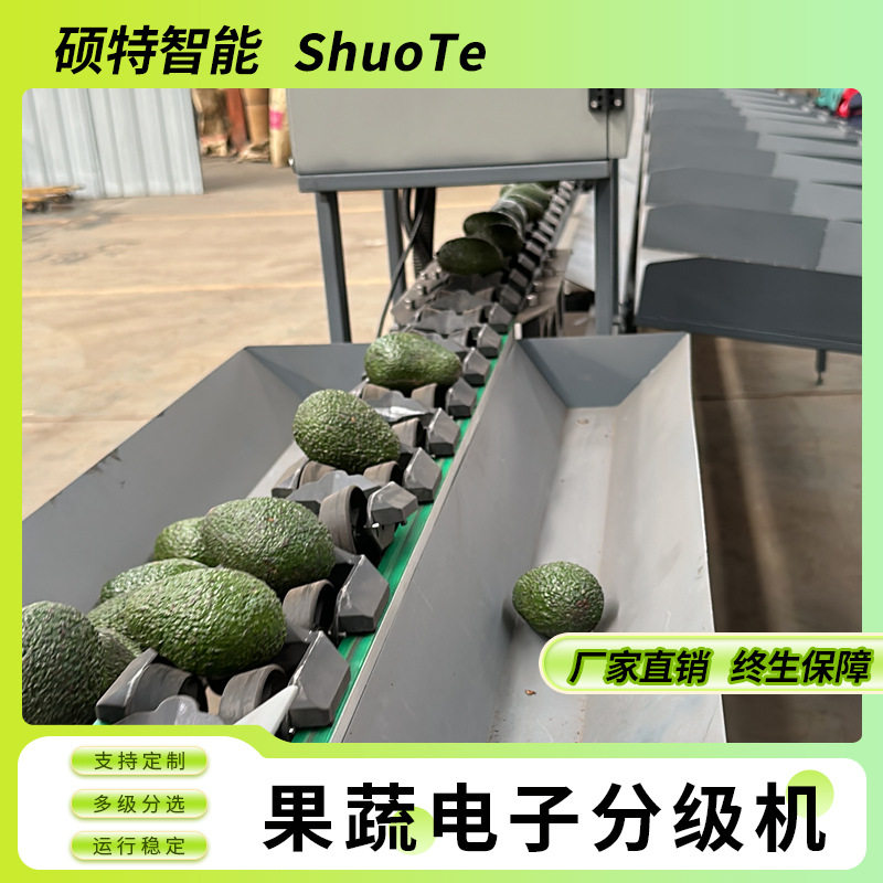 芒果大小果选果机 香梨水果称重分级机 金桔全自动重量分选机