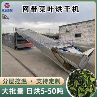 网带菜叶子烘干机 大型连续式青菜油菜叶空心菜萝卜叶蔬菜干燥机