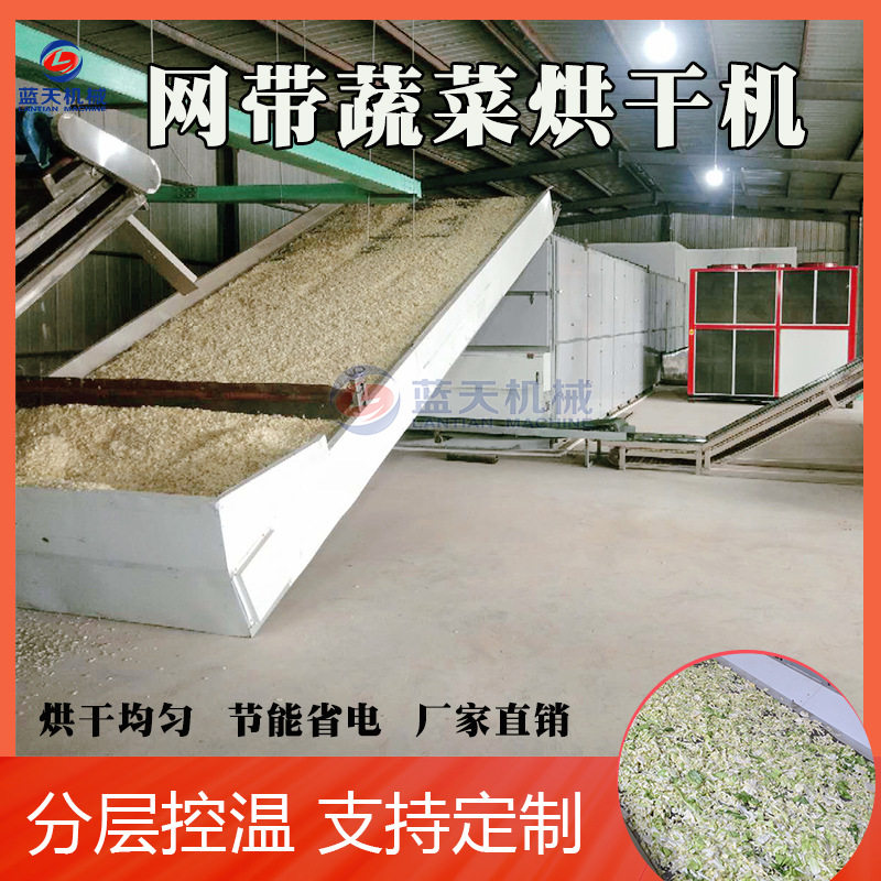 全自动蔬菜烘干机 大型洋葱卷心菜蒜片脱水干燥设备 萝卜条烘干机
