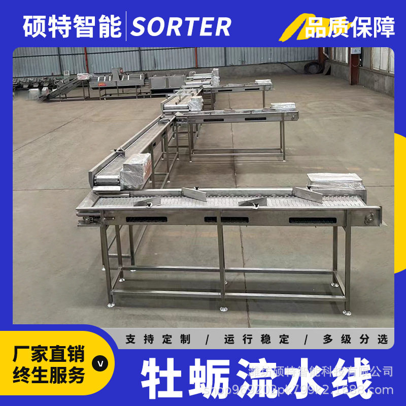 牡蛎分选机生蚝清洗流水线一拖二 流水线 海参鲍鱼生蚝重量分选机