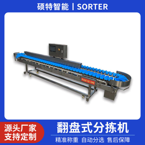 红薯重量料盒分选机 玉米笋自动称重分拣机 西洋参克重挑选机
