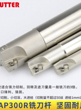 300R数控铣刀杆加工中心抗震直角立铣刀CNC铣床开粗1135飞刀杆