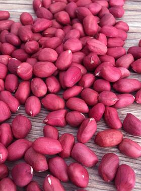 新红衣生米QUB小粒花红皮 5斤生花生红四粒花生 包仁邮